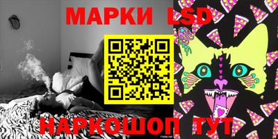 стафф Новокубанск