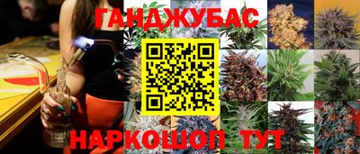 стаф Новодвинск