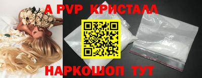 стаф Новодвинск