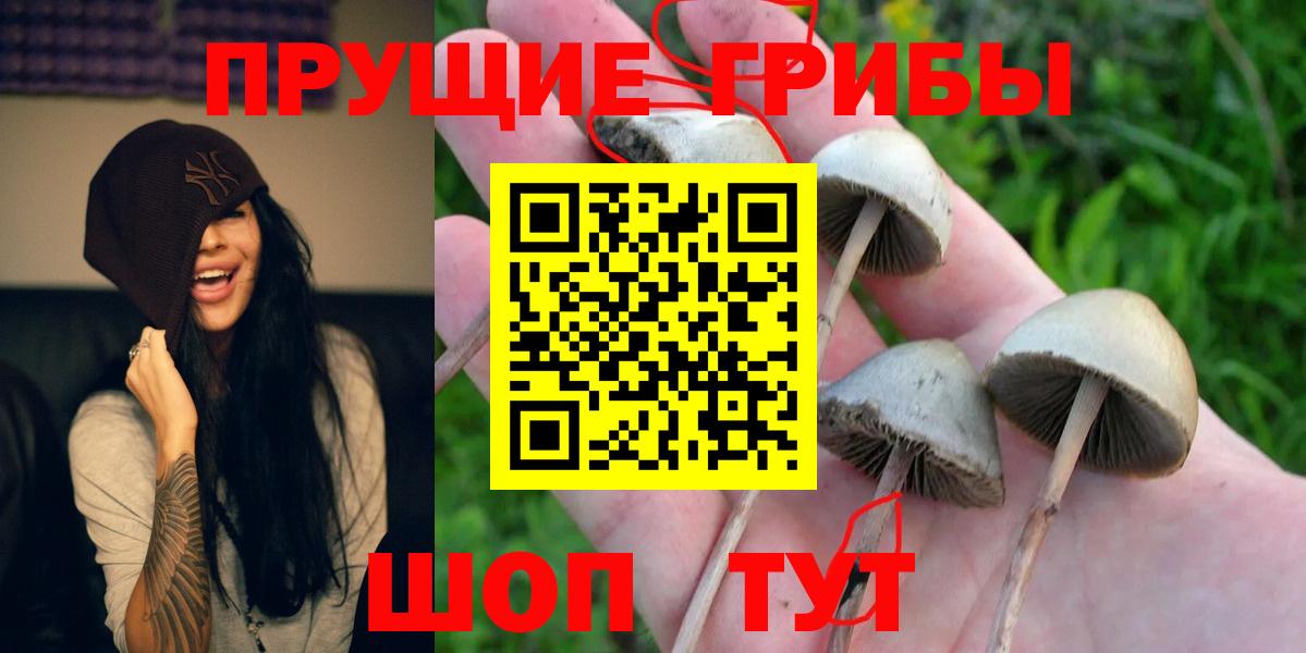 Псилоцибиновые грибы GOLDEN TEACHER  Вход с VPN  Рославль 